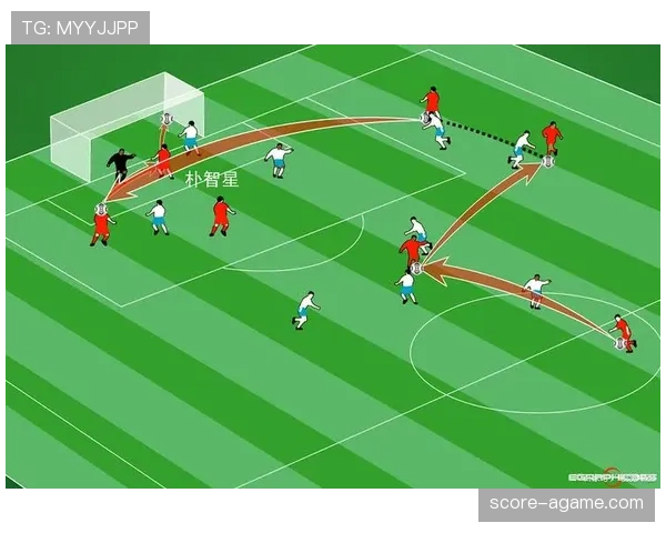 足球比赛中球场尺寸规则标准及其判定依据详解