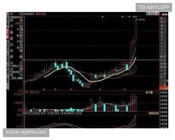 新手必看：补篮规则详解与实战应用技巧